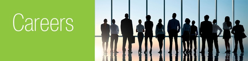 832x300 Careers 2.jpg 832x300 Careers 2.jpg